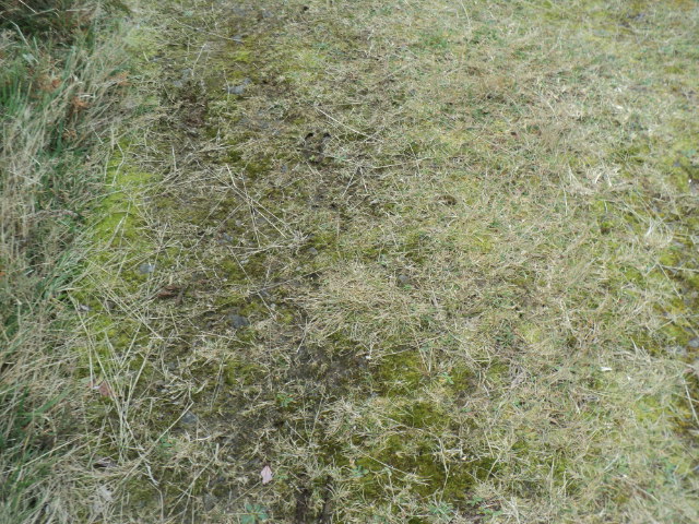 Name:  picture 01 4048.jpg
Views: 297
Size:  162.5 KB