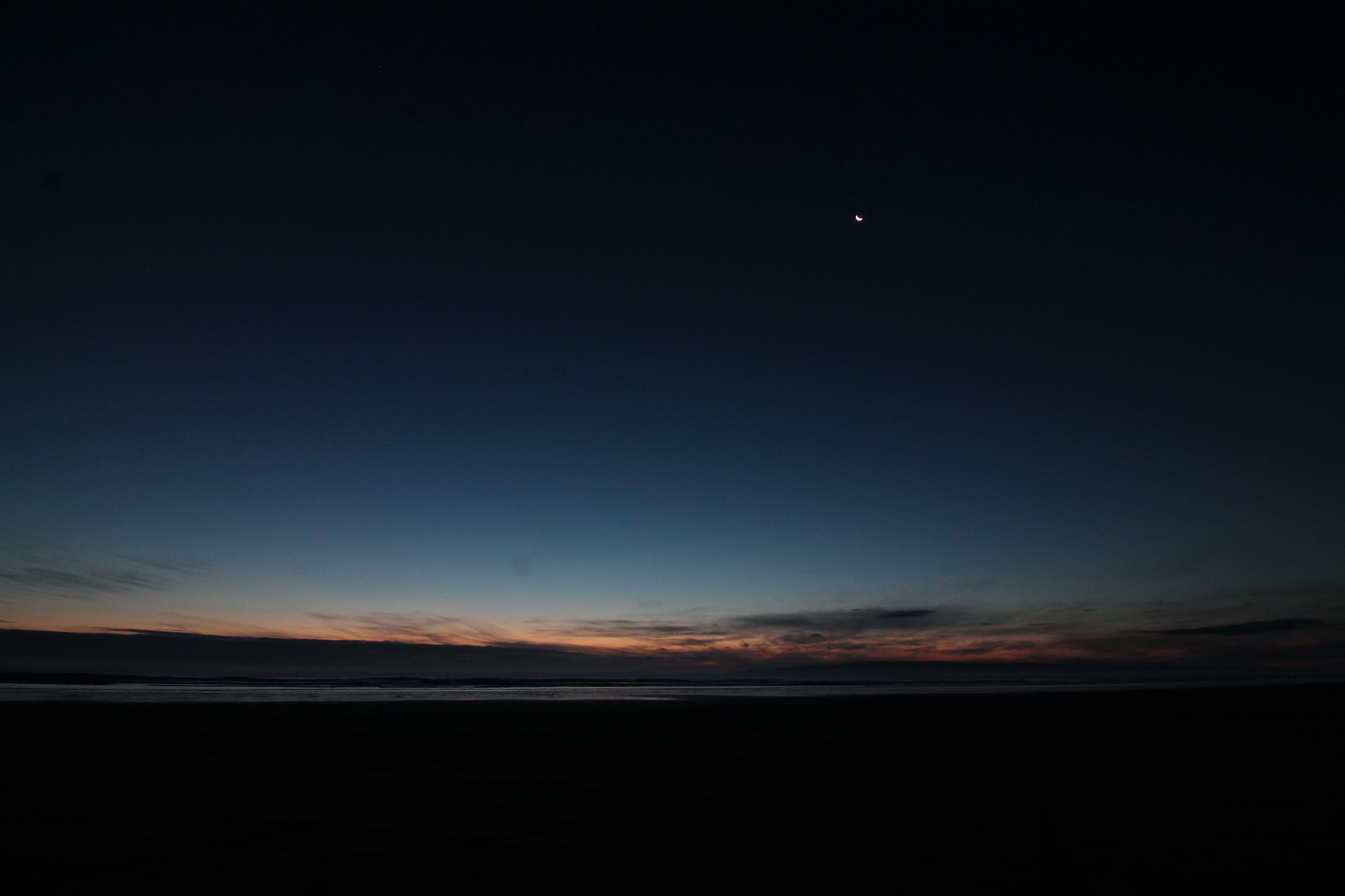 Name:  IMG_3320.JPG
Views: 477
Size:  2.43 MB