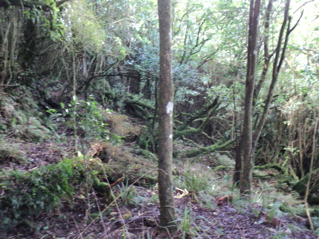 Name:  picture 01 4056.jpg
Views: 329
Size:  163.5 KB