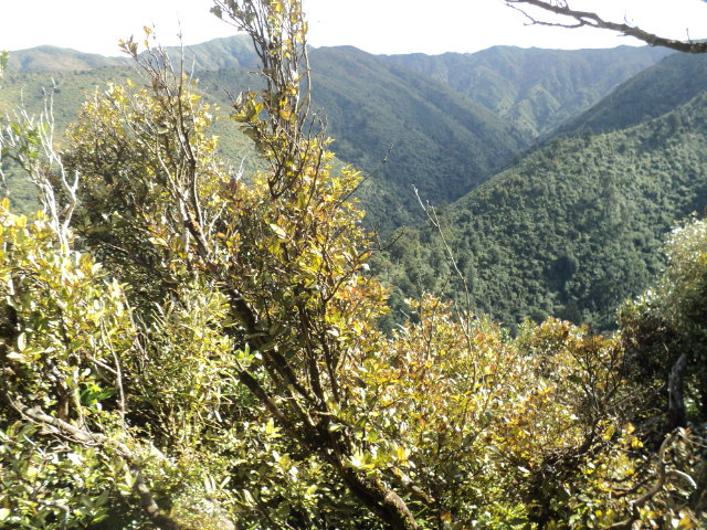 Name:  picture 01 4058.jpg
Views: 328
Size:  165.2 KB