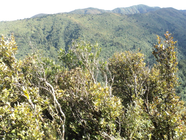 Name:  picture 01 4059.jpg
Views: 312
Size:  164.4 KB