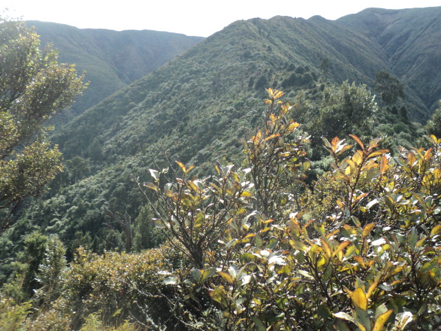 Name:  picture 01 4061.jpg
Views: 339
Size:  164.1 KB