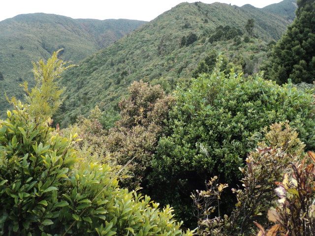 Name:  picture 01 4062.jpg
Views: 311
Size:  165.2 KB