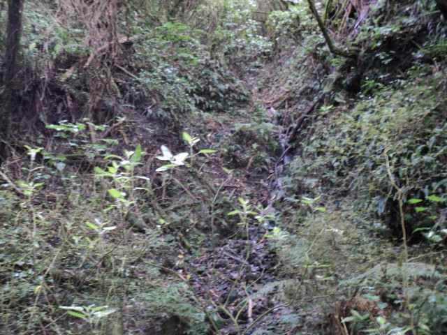 Name:  picture 01 4069.jpg
Views: 300
Size:  164.8 KB