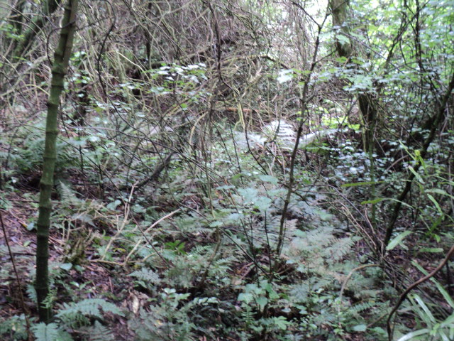 Name:  picture 01 4070.jpg
Views: 324
Size:  163.0 KB