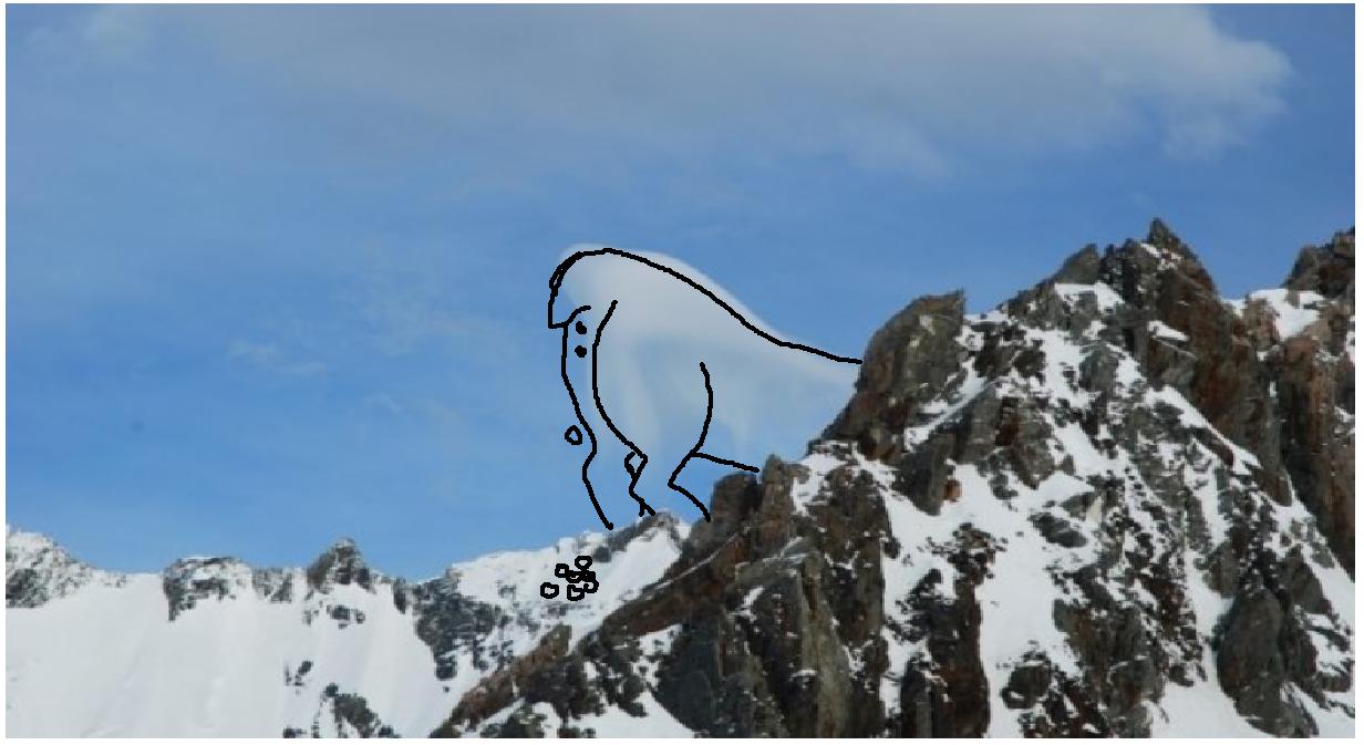 Name:  deer poop.jpg
Views: 495
Size:  88.3 KB