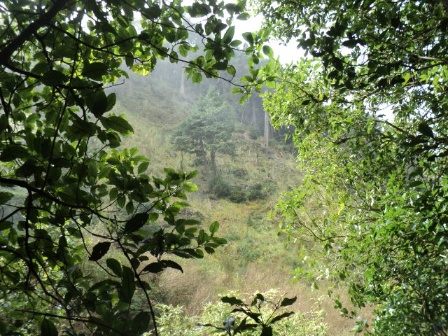 Name:  picture 01 4179.jpg
Views: 236
Size:  164.3 KB