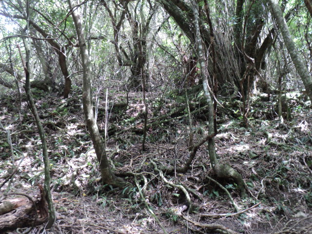 Name:  picture 01 4180.jpg
Views: 227
Size:  164.5 KB