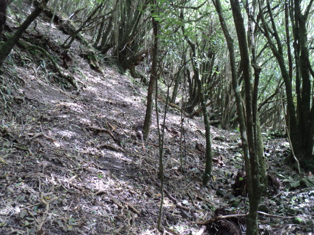 Name:  picture 01 4181.jpg
Views: 234
Size:  164.5 KB