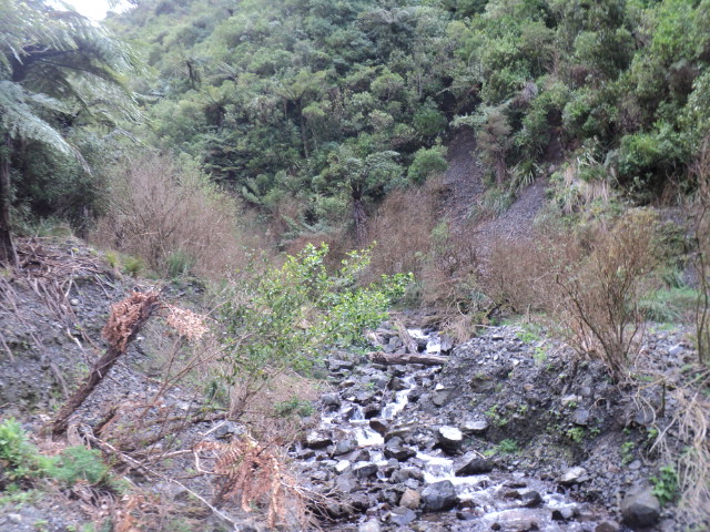 Name:  picture 01 4182.jpg
Views: 243
Size:  165.1 KB