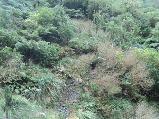 Name:  picture 01 4183.jpg
Views: 234
Size:  164.6 KB