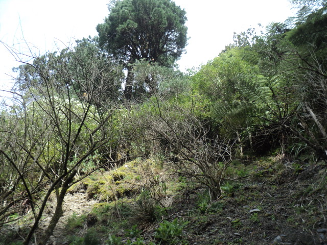 Name:  picture 01 4184.jpg
Views: 227
Size:  165.0 KB