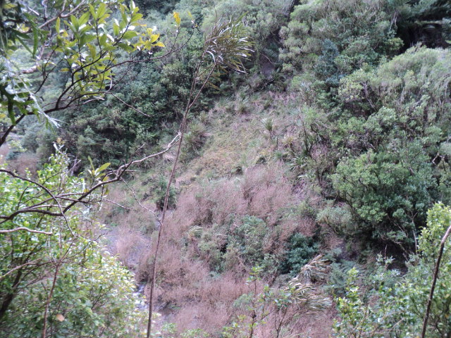 Name:  picture 01 4185.jpg
Views: 230
Size:  164.2 KB