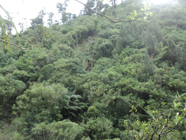 Name:  picture 01 4186.jpg
Views: 227
Size:  165.2 KB