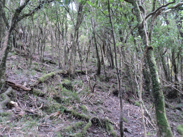 Name:  picture 01 4187.jpg
Views: 228
Size:  165.2 KB