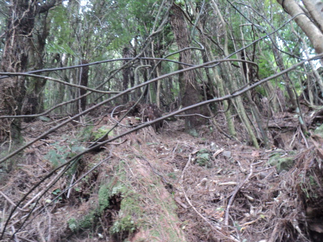 Name:  picture 01 4193.jpg
Views: 238
Size:  163.9 KB
