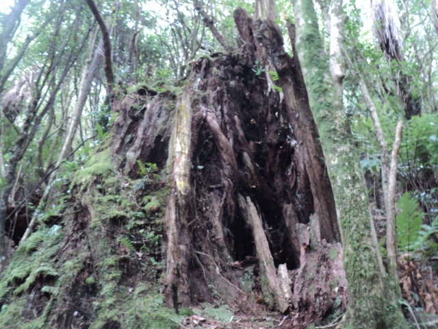 Name:  picture 01 4194.jpg
Views: 223
Size:  164.4 KB