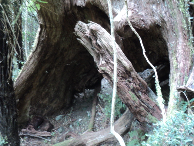 Name:  picture 01 4195.jpg
Views: 231
Size:  164.8 KB