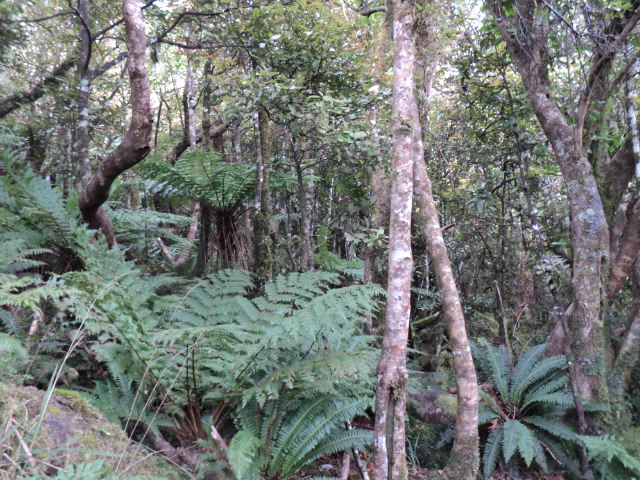 Name:  picture 01 4197.jpg
Views: 284
Size:  162.6 KB
