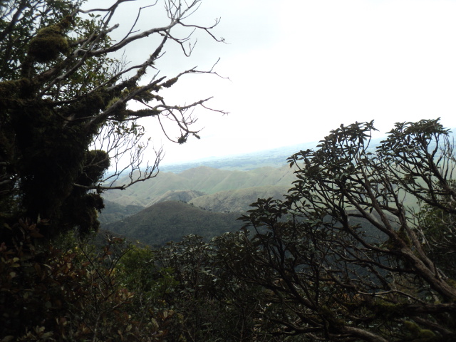 Name:  picture 01 4198.jpg
Views: 218
Size:  165.1 KB