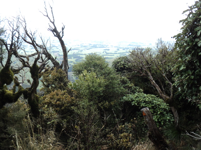 Name:  picture 01 4199.jpg
Views: 236
Size:  164.7 KB