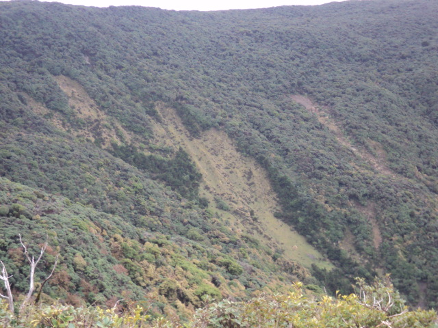 Name:  picture 01 4200.jpg
Views: 246
Size:  164.4 KB