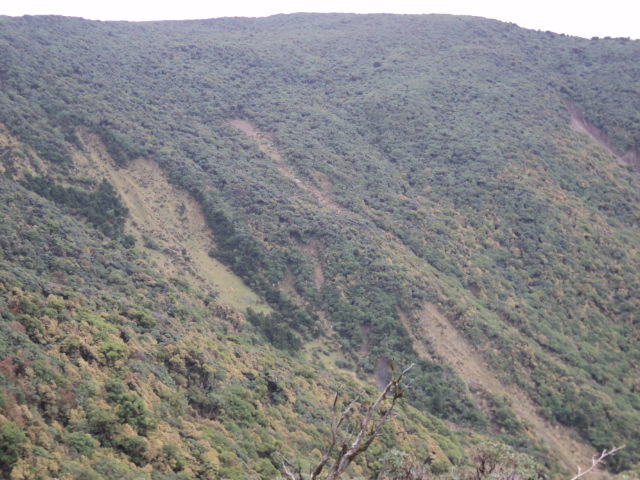 Name:  picture 01 4202.jpg
Views: 231
Size:  164.9 KB