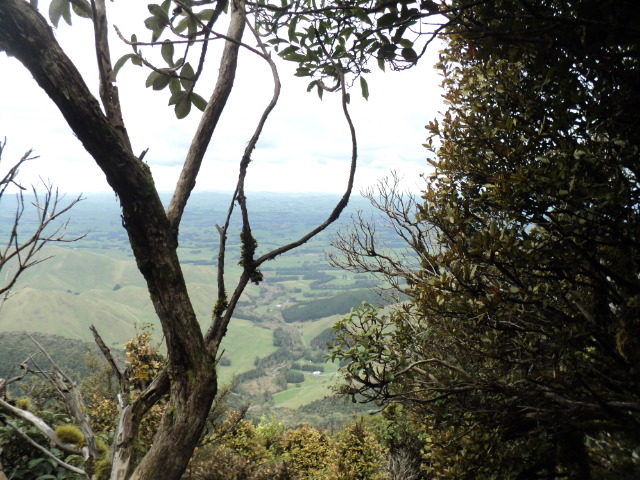 Name:  picture 01 4209.jpg
Views: 212
Size:  163.3 KB