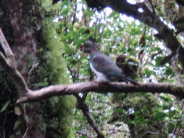 Name:  picture 01 4211.jpg
Views: 231
Size:  164.7 KB