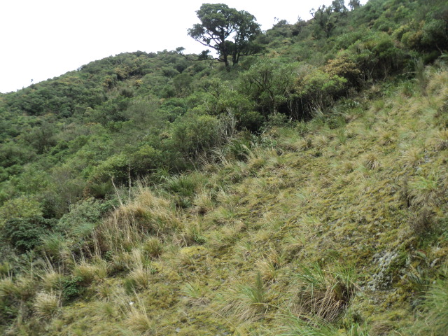 Name:  picture 01 4215.jpg
Views: 236
Size:  165.0 KB