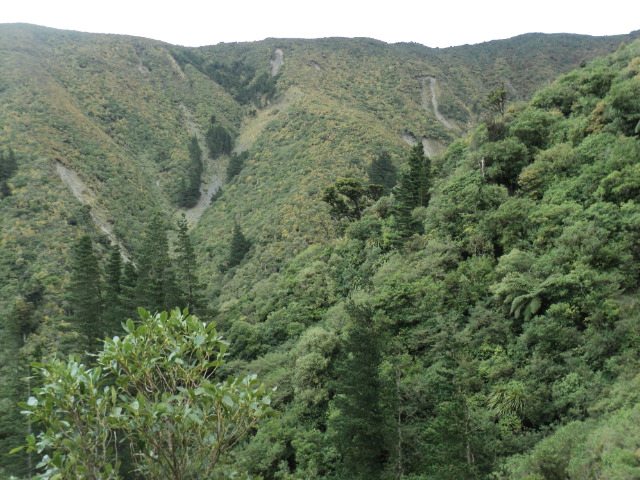 Name:  picture 01 4216.jpg
Views: 228
Size:  164.1 KB