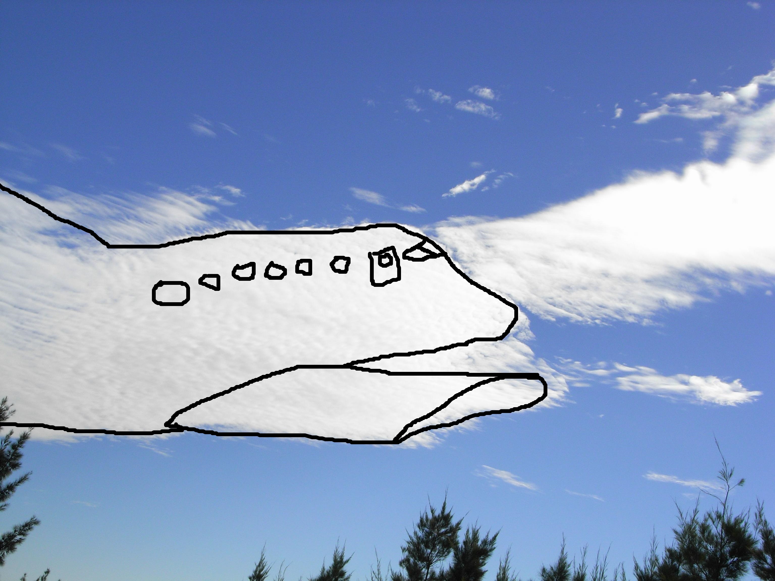 Name:  airplane.jpg
Views: 573
Size:  868.7 KB
