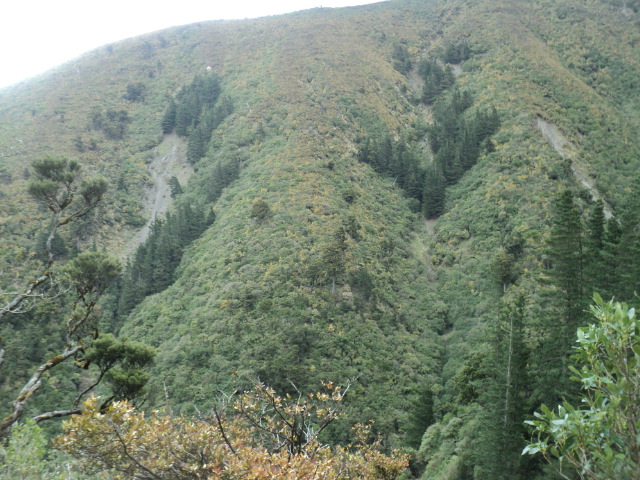 Name:  picture 01 4217.jpg
Views: 228
Size:  165.1 KB