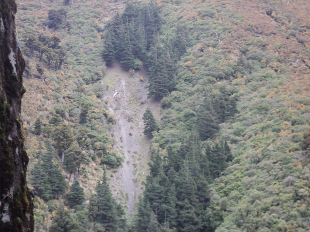Name:  picture 01 4219.jpg
Views: 229
Size:  164.8 KB