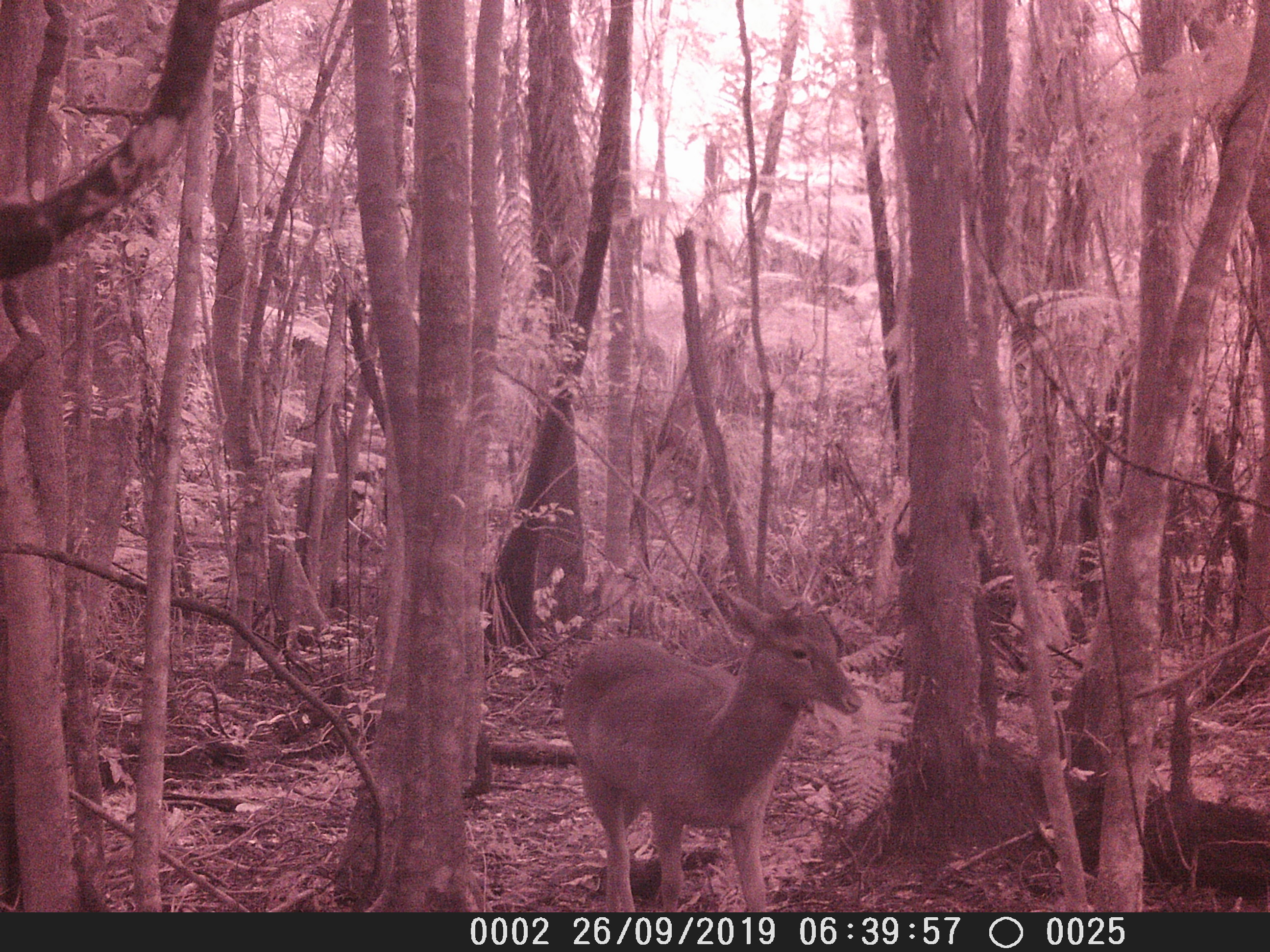 Name:  DSCF0025.JPG
Views: 865
Size:  1.18 MB