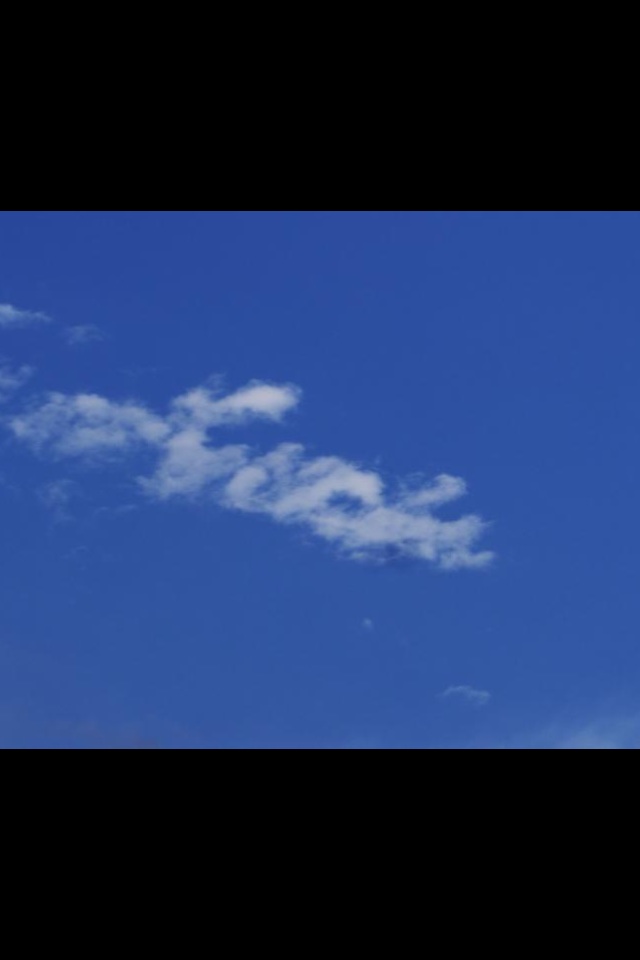 Name:  image.jpg
Views: 653
Size:  35.4 KB
