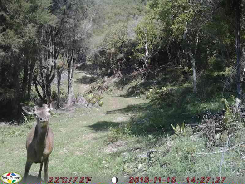 Name:  0674.JPG
Views: 729
Size:  57.7 KB