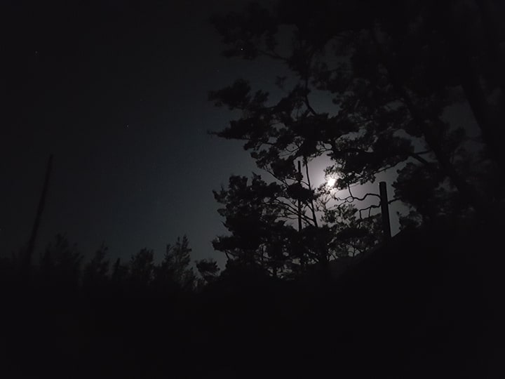 Name:  night.jpg
Views: 398
Size:  22.1 KB