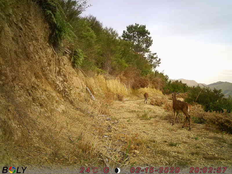 Name:  PIC.JPG
Views: 508
Size:  58.3 KB