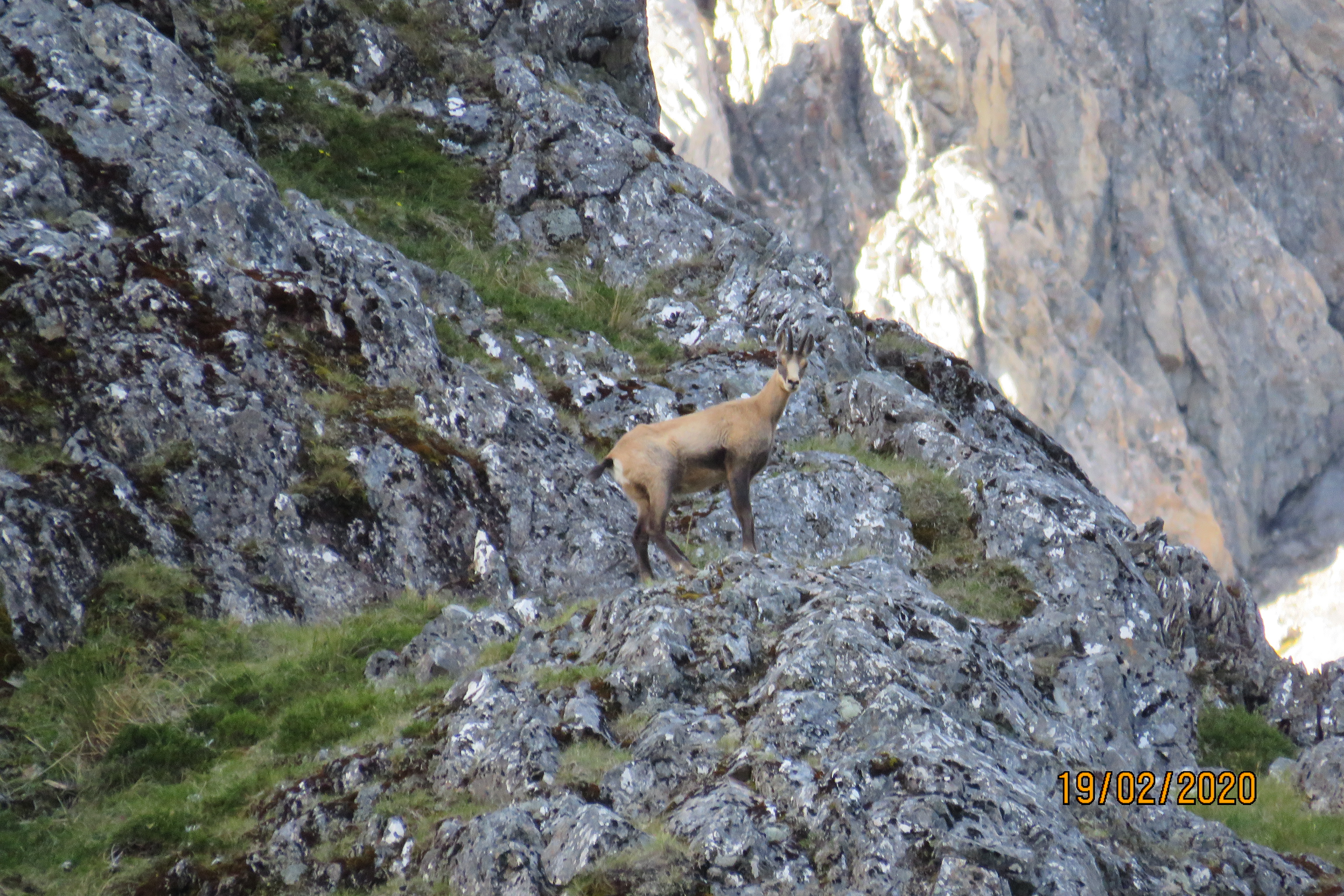 Name:  IMG_0025.JPG
Views: 861
Size:  5.92 MB