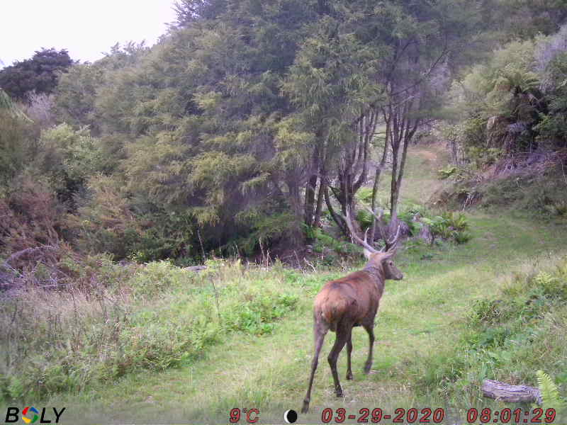 Name:  PIC (1).JPG
Views: 563
Size:  56.9 KB