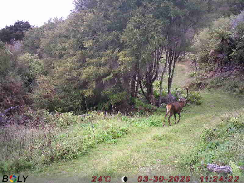 Name:  2nd stag.JPG
Views: 1017
Size:  51.7 KB