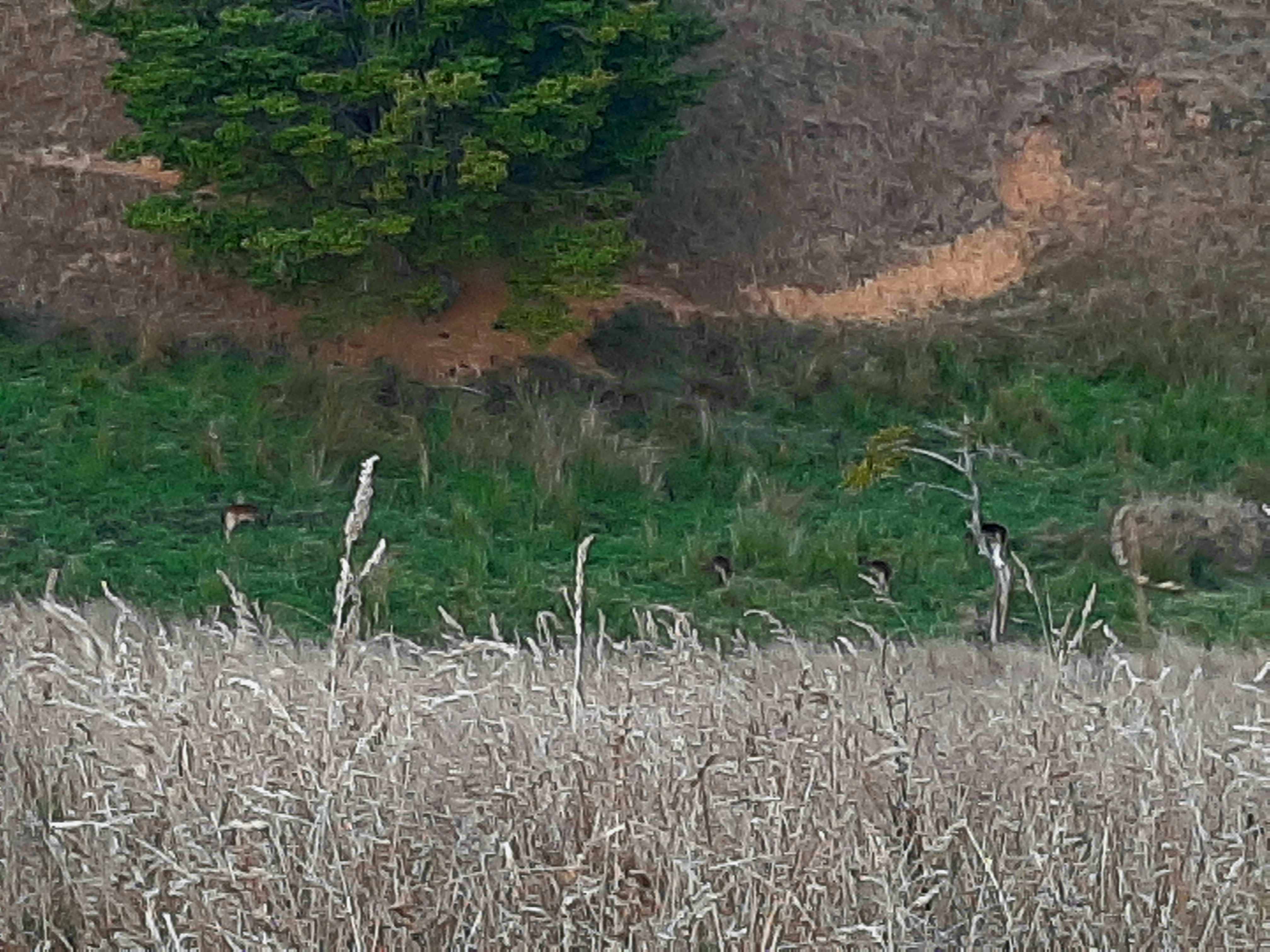 Name:  20200418_224042.jpg
Views: 573
Size:  4.68 MB