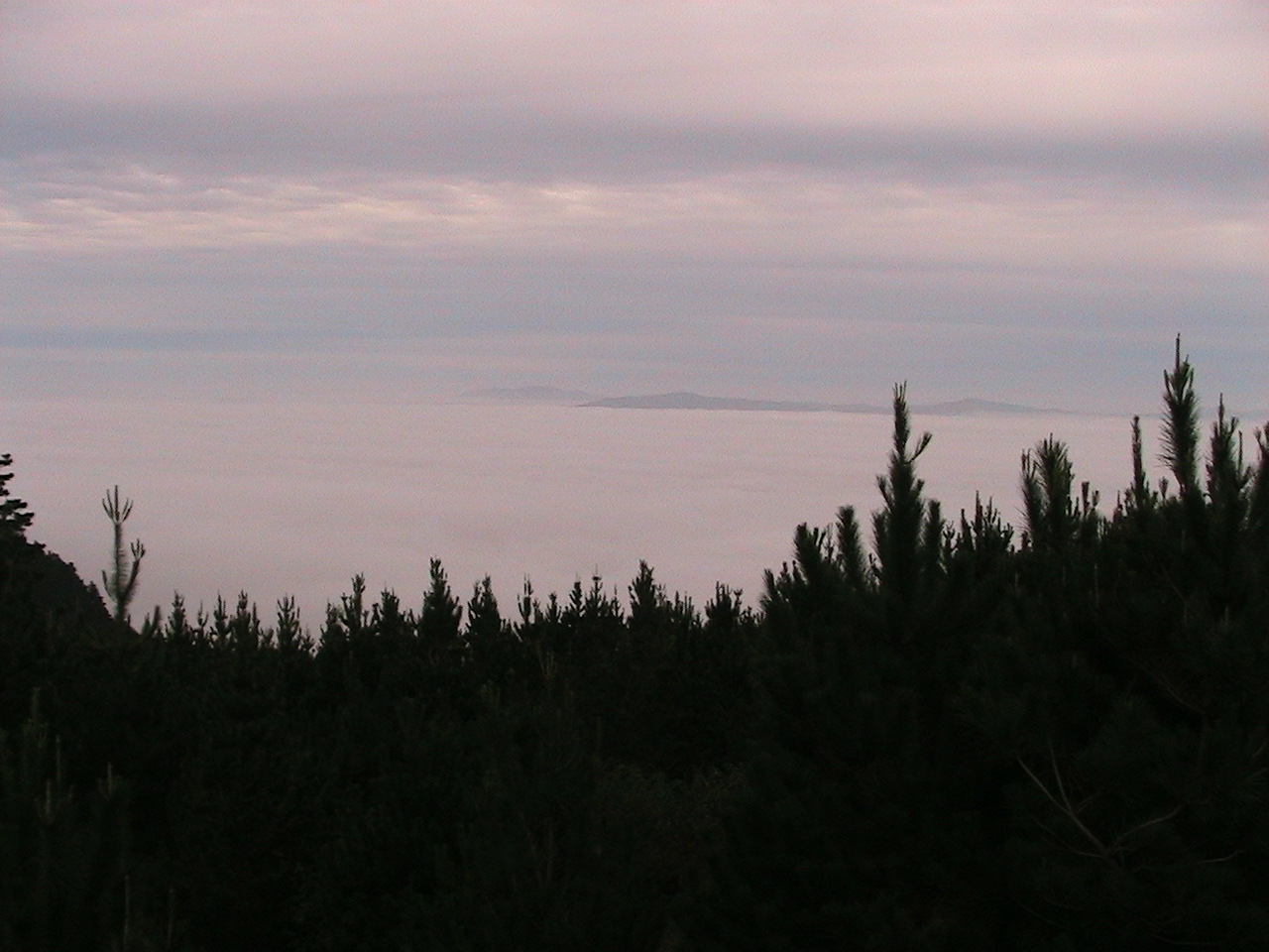 Name:  IMG_3026.JPG
Views: 592
Size:  257.4 KB