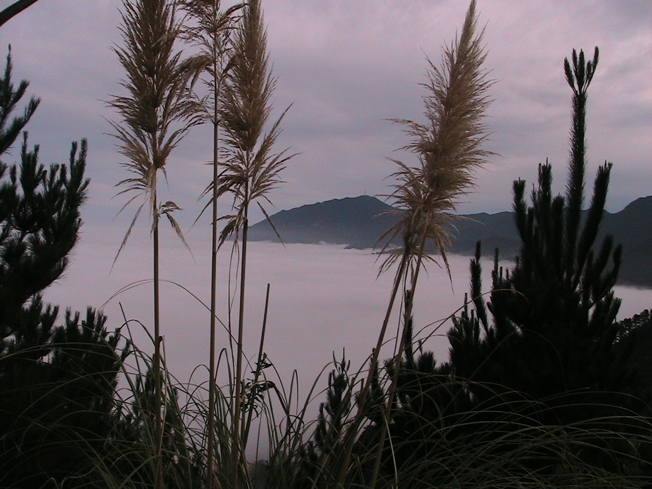 Name:  IMG_3028.JPG
Views: 584
Size:  383.4 KB