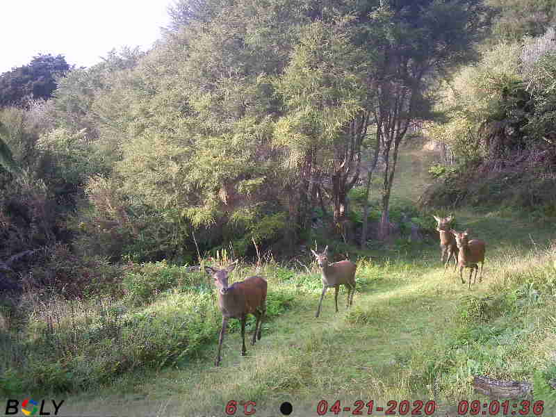 Name:  PIC.JPG
Views: 540
Size:  51.3 KB
