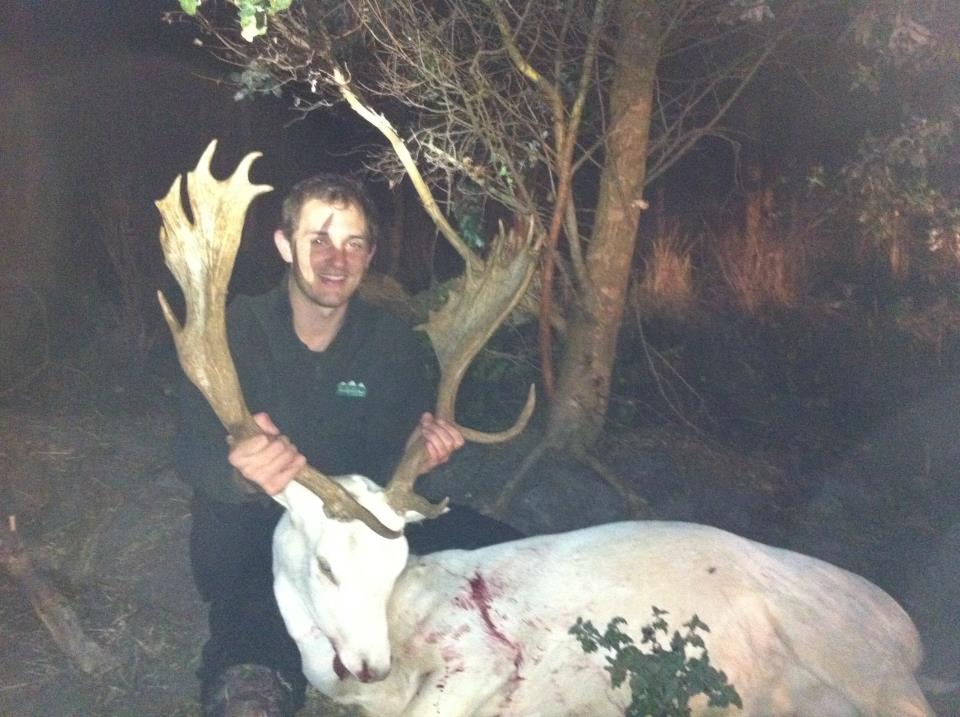 Name:  Fallow.jpg
Views: 473
Size:  87.9 KB