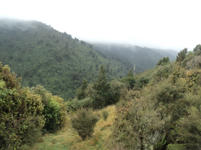 Name:  picture 01 1312.jpg
Views: 441
Size:  164.8 KB