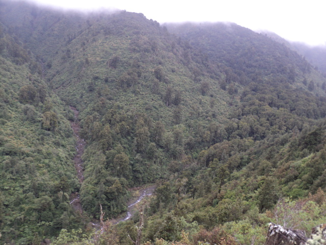 Name:  picture 01 1313.jpg
Views: 417
Size:  163.2 KB