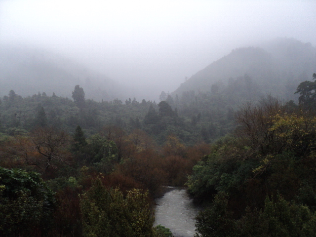Name:  picture 01 1332.jpg
Views: 400
Size:  160.3 KB